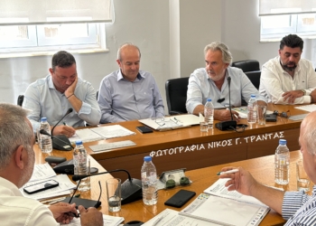 ΚΟΙΝΟ ΜΕΤΩΠΟ ΔΗΜΑΡΧΩΝ ΓΙΑ ΕΚΛΟΓΗ ΝΕΟΥ Δ.Σ. ΤΗΣ ΑΝΑΠΤΥΞΙΑΚΗΣ ΛΑΣΙΘΙΟΥ