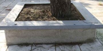 Συνεχίζονται οι απομακρύνσεις δένδρων που έχουν κριθεί ως επικίνδυνα