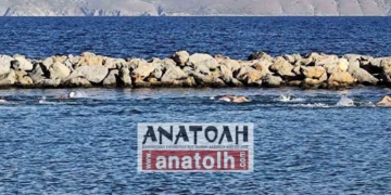 Ξεκίνησε στη θάλασσα η αγωνιστική ομάδα κολύμβησης του ΝΟΑΝ