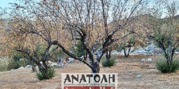 Η «μεταφυσική» της Φύσης-νεκρανάσταση των μουρέλων
