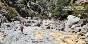 Ο Χαυγάς των οροπεδίων Καθαρού και Λασιθίου
