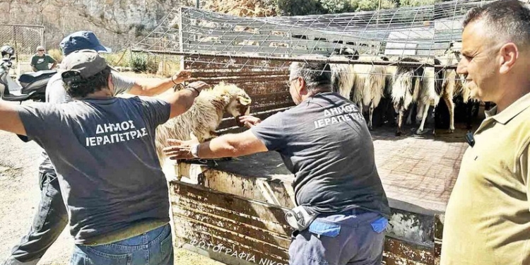 Φωτογραφία στο Anatolh.com