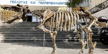 Συναρμολογήθηκε νάνος ιπποπόταμος του Καθαρού!