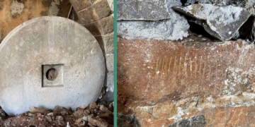 Οι κόκες και οι τσέτουλες