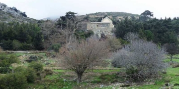 Πεζοπορία στην περιοχή Μεσελέρων