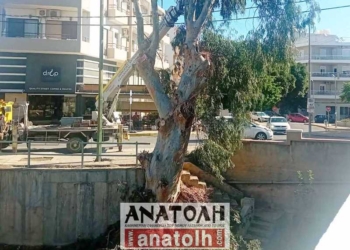 Καθαρισμοί ρεμάτων και της κοίτης του Ξηροπόταμου