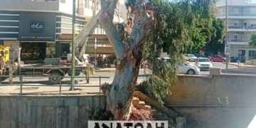 Καθαρισμοί ρεμάτων και της κοίτης του Ξηροπόταμου