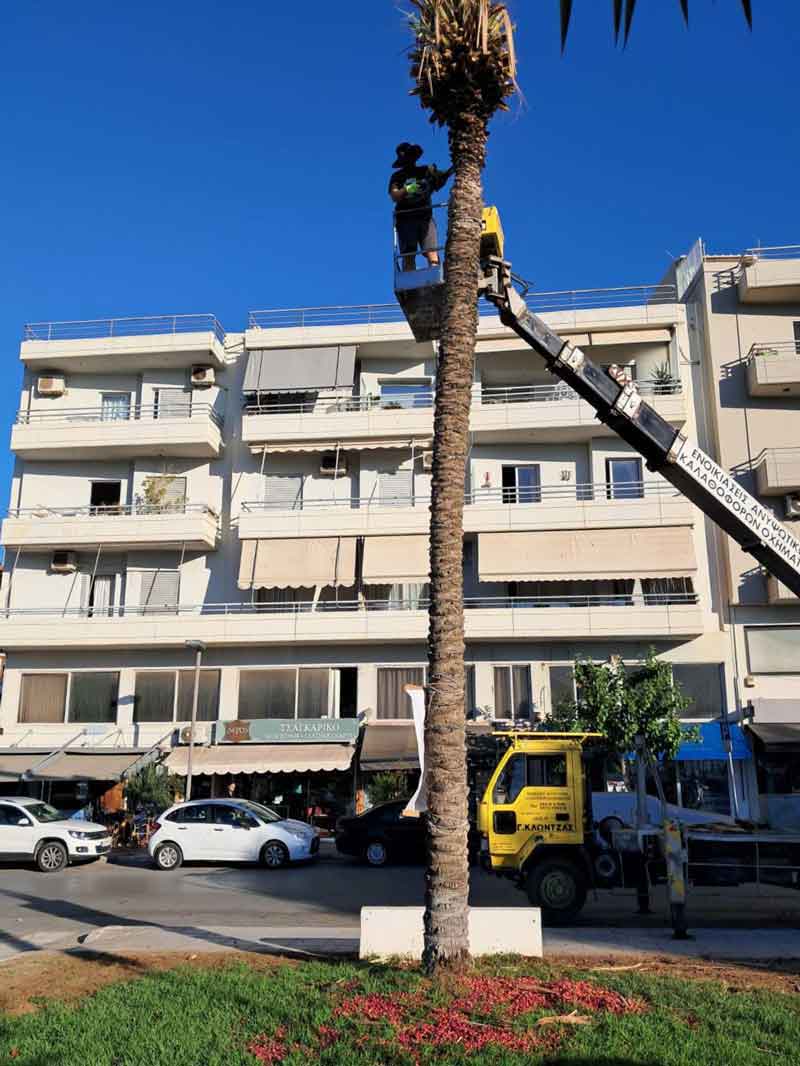 Φωτογραφία στο Anatolh.com