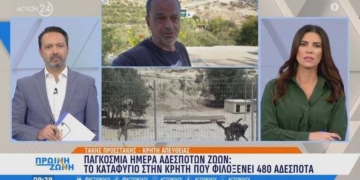 Παγκόσμια ημέρα αδέσποτων ζώων: Το καταφύγιο που φιλοξενεί 480 αδέσποτα