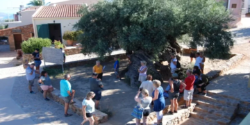 Ελαιοτουρισμός: Μια νέα εναλλακτική μορφή τουρισμού στην Κρήτη
