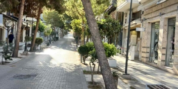 Δήλωση του αντιδημάρχου Στέργιου Ατσαλάκη για την απομάκρυνση δέντρου από την οδό Ρούσου Κουνδούρου