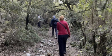 Πεζοπορία στο Αζιλακόδασος