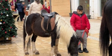 Μια Χριστουγεννιάτικη ημέρα με άλογα και πόνι στο Χριστουγεννιάτικο χωριό του Αγίου Νικολάου!