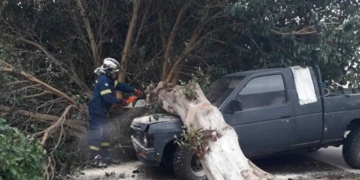 Ξεριζώθηκε το δέντρο κι έπεσε πάνω στο αυτοκίνητο!