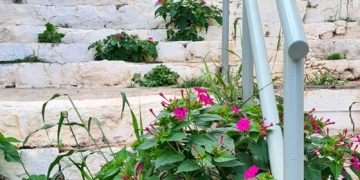 Οι σκάλες της πόλης περιμένουν…