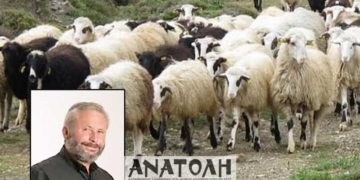 Έχει ξεραθεί και η δασική βλάστηση!