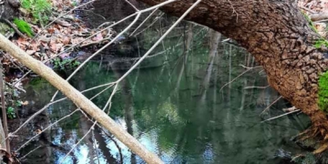 Το αναξιοποίητο φαράγγι της Κατσικαντάρας στο Καλό Χωριό (βίντεο)