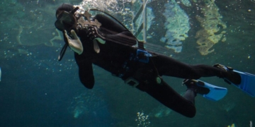 Θεοφάνεια στο Ενυδρείο Κρήτης-CRETAquarium!