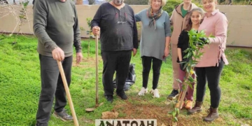 Δεντροφύτευση της αυλής του Νοσοκομείου