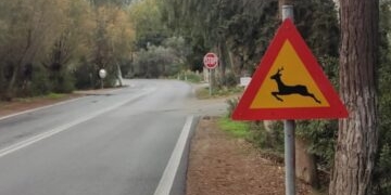Τοποθετήθηκαν προειδοποιητικές πινακίδες για κίνδυνο από την διέλευση άγριων ζώων