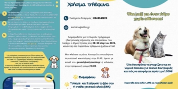 Νομικό πλαίσιο για τα ζώα συντροφιάς: Πως να αποφύγετε τα πρόστιμα