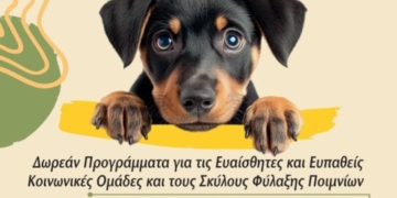 Δωρεάν στείρωση ζώων συντροφιάς 28 – 30 Μαρτίου στο Δήμο Σητείας