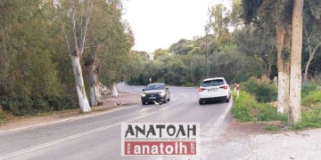 Καταγγελία για αυξημένη οδική επικινδυνότητα στον υγροβιότοπο του Αλμυρού