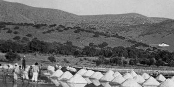 Οι αλυκές στην Ανάβυσσο και στην Ελούντα