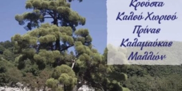 Πρώτη δημοτική συνάντηση των τοπικών κοινοτήτων Κρούστα, Καλού Χωριού, Πρίνας, Καλαμαύκας, Μαλλίων