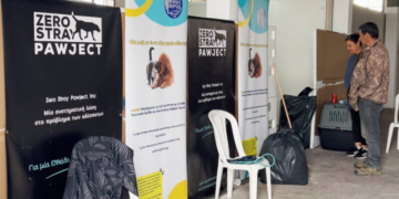 Μεγάλη η ανταπόκριση των δημοτών στην δράση δωρεάν στειρώσεων, σήμανσης και λήψης DNA δεσποζόμενων ζώων