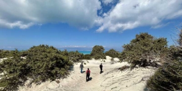 Υλοποίηση έργου διερεύνησης αιτιών ξήρανσης της βλάστησης στη νήσο Χρυσή από την Αποκεντρωμένη Διοίκηση και τον ΕΛΓΟ ΔΗΜΗΤΡΑ