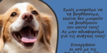 Ο Δήμος Αγίου Νικολάου θα συνεχίσει να διεκδικεί την ενίσχυση των δράσεων για την προστασία των ζώων και της ευαισθητοποίησης της κοινωνίας