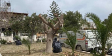 Παρεμβάσεις καθαριότητας και καλλωπισμού στους κοινόχρηστους χώρους των εργατικών κατοικιών