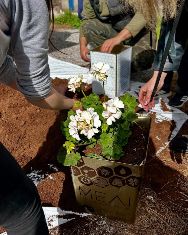 Φωτογραφία στο Anatolh.com