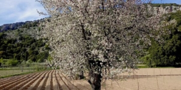 22 Απριλίου παγκόσμια ημέρα της γης