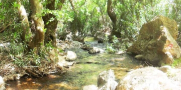 Με λιγότερους περιορισμούς εγκρίθηκε η Ειδική Περιβαλλοντική Μελέτη Natura στο ν. Λασιθίου
