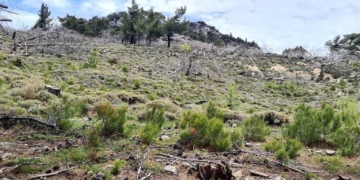 Τρεις δεκαετίες για να αποκατασταθεί μία καμένη περιοχή!