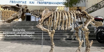 Οι παλαιοντολογικοί θησαυροί του Καθαρού – Οι νάνοι ιπποπόταμοι πώς ήρθαν και γιατί εξαφανίστηκαν