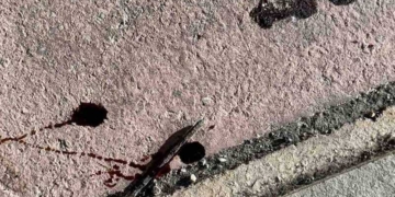 Όταν η ζωή δηλητηριάζεται: Δίχως τέλος οι φόλες