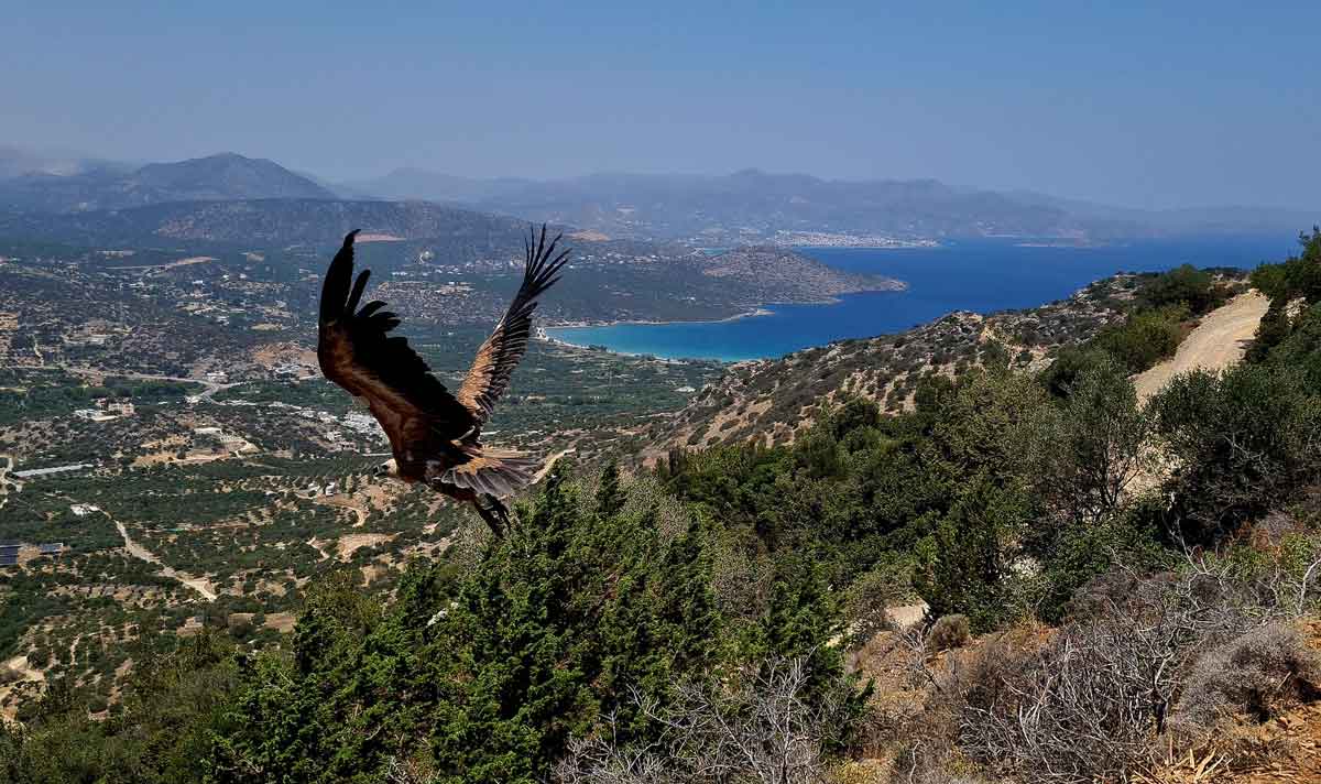 Φωτογραφία στο Anatolh.com