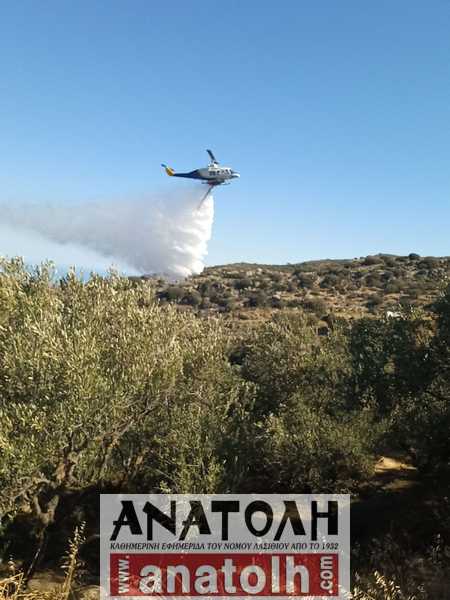 Φωτογραφία στο Anatolh.com