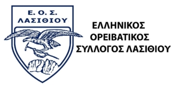Εθελοντική Δράση στο Καταφύγιο Στροβίλι
