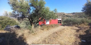 Πρόλαβαν την φωτιά πριν επεκταθεί στην περιοχή του Χαμεζίου