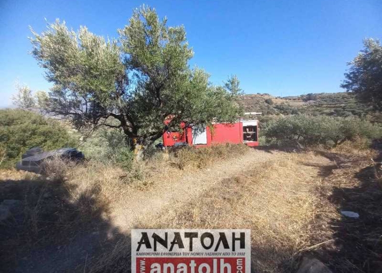 Πρόλαβαν την φωτιά πριν επεκταθεί στην περιοχή του Χαμεζίου