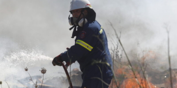 Τι πρέπει να προσέχουμε στους καθαρισμούς μετά από φωτιές