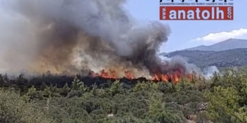 Φωτιά ξέσπασε στο Βαθύ