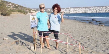 Μόνο μια φωλιά θαλάσσιας χελώνας  φέτος στην παραλία της Σητείας