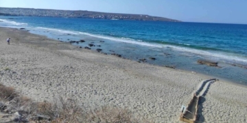 ΤΔ ΛΑΣΙΘΙΟΥ: Δράση Προστασίας της Θαλάσσιας Χελώνας Καρέτα-Καρέτα στη Σητεία