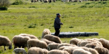 Κάλεσμα στους αγροτοκτηνοτρόφους για συμμετοχή στο Δημοτικό Συμβούλιο σχετικά με τις Κατηγορίες περί καλλιέργειας βαμβακιού