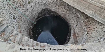 Υπήρχε καλλιέργεια  μπαμπακιού στην Κρήτη!